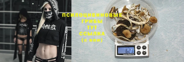 дурь Белоозёрский