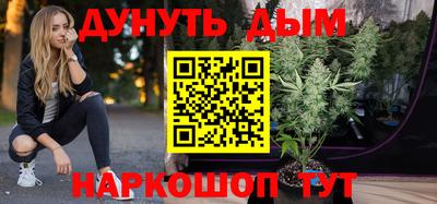 сатива Асино