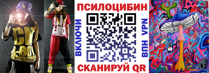 Галлюциногенные грибы Psilocybe  где продают   Бугульма 