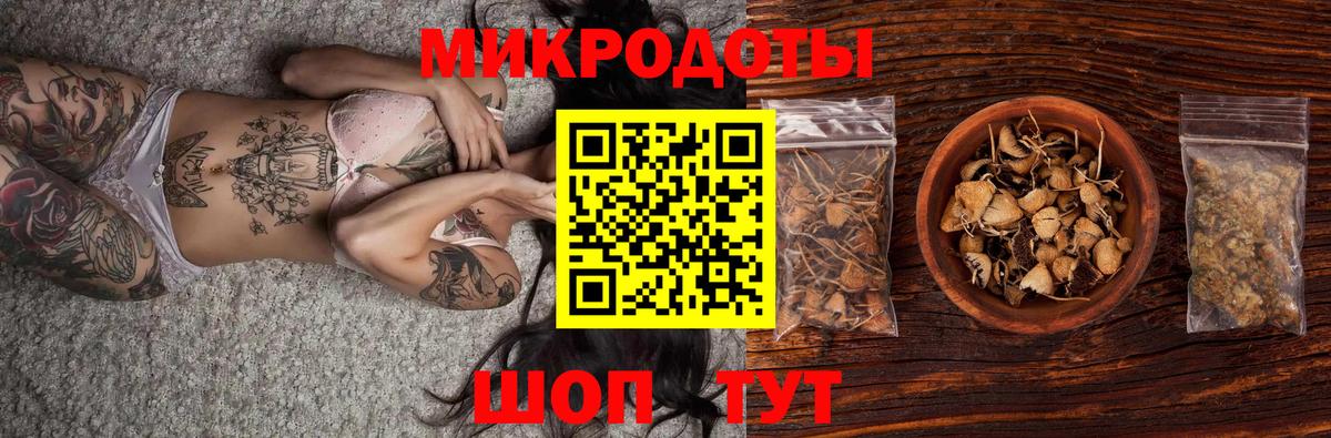 Галлюциногенные грибы Psilocybine cubensis Бугульма