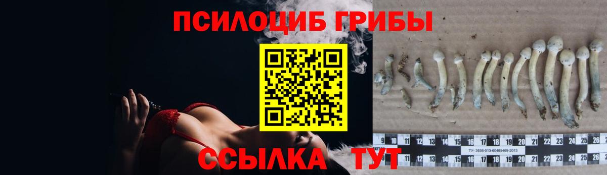 Галлюциногенные грибы Magic Shrooms  Вход с VPN  Бугульма 
